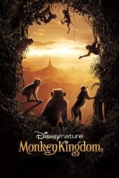 Nonton Film Monkey Kingdom (2015) Bioskop21 Nonton Film Monkey Kingdom (2015) Bioskop21
