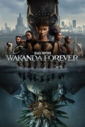 Nonton Film Black Panther: Wakanda Forever (2022) Bioskop21 Nonton Film Black Panther: Wakanda Forever (2022) Bioskop21