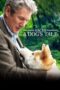 Nonton Film Hachi: A Dog’s Tale (2009) Bioskop21 Nonton Film Hachi: A Dog’s Tale (2009) Bioskop21