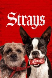 Nonton Film Strays (2023) Bioskop21 Nonton Film Strays (2023) Bioskop21