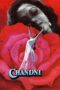 Nonton Film Chandni (1989) Bioskop21 Nonton Film Chandni (1989) Bioskop21