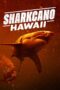 Nonton Film Sharkcano: Hawaii (2023) Bioskop21 Nonton Film Sharkcano: Hawaii (2023) Bioskop21