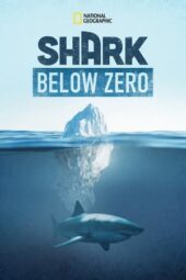 Nonton Film Shark Below Zero (2023) Bioskop21 Nonton Film Shark Below Zero (2023) Bioskop21