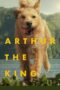 Nonton Film Arthur the King (2024) Bioskop21 Nonton Film Arthur the King (2024) Bioskop21