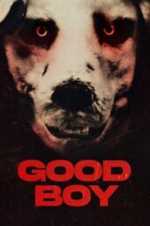 Nonton Film Good Boy (2022) Bioskop21 Nonton Film Good Boy (2022) Bioskop21