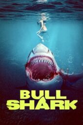 Nonton Film Bull Shark (2022) Bioskop21 Nonton Film Bull Shark (2022) Bioskop21