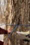 Nonton Film The Sticky Season 1 Episode 1 Bioskop21 Nonton Film The Sticky Season 1 Episode 1 Bioskop21