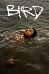 Nonton Film Bird (2024) Bioskop21 Nonton Film Bird (2024) Bioskop21