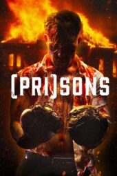 Nonton Film Carnage (2024) Bioskop21 Nonton Film Carnage (2024) Bioskop21