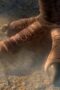 Nonton Film Jurassic World: Chaos Theory Season 1 Episode 4 Bioskop21 Nonton Film Jurassic World: Chaos Theory Season 1 Episode 4 Bioskop21