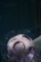 Nonton Film Jupiter’s Legacy Season 1 Episode 5 Bioskop21 Nonton Film Jupiter’s Legacy Season 1 Episode 5 Bioskop21