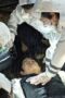 Nonton Film TOKYO MER: Mobile Emergency Room Season 1 Episode 8 Bioskop21