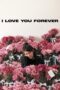 Nonton Film I Love You Forever (2025) Bioskop21 Nonton Film I Love You Forever (2025) Bioskop21