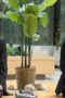 Nonton Film Since I Took You Away Season 1 Episode 6 Bioskop21 Nonton Film Since I Took You Away Season 1 Episode 6 Bioskop21