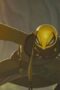 Nonton Film Eyes of Wakanda Season 1 Episode 3 Bioskop21
