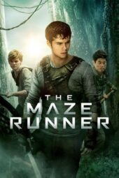 Nonton Film The Maze Runner (2014) Bioskop21 Nonton Film The Maze Runner (2014) Bioskop21