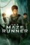 Nonton Film The Maze Runner (2014) Bioskop21 Nonton Film The Maze Runner (2014) Bioskop21