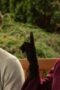 Nonton Film Upload Season 1 Episode 2 Bioskop21 Nonton Film Upload Season 1 Episode 2 Bioskop21