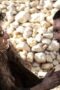 Nonton Film Game of Thrones Season 1 Episode 8 Bioskop21