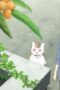 Nonton Film Natsume’s Book of Friends Season 7 Episode 9 Bioskop21 Nonton Film Natsume’s Book of Friends Season 7 Episode 9 Bioskop21