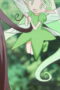 Nonton Film I Saved Myself with a Potion!: Life in Another World Season 1 Episode 10 Bioskop21 Nonton Film I Saved Myself with a Potion!: Life in Another World Season 1 Episode 10 Bioskop21