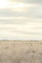 Nonton Film Breaking Bad Season 3 Episode 13 Bioskop21 Nonton Film Breaking Bad Season 3 Episode 13 Bioskop21