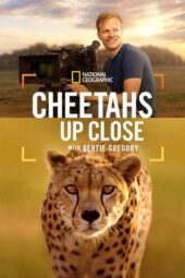 Nonton Film Cheetahs Up Close with Bertie Gregory (2026) Bioskop21 Nonton Film Cheetahs Up Close with Bertie Gregory (2026) Bioskop21