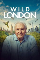 Nonton Film Wild London (2026) Bioskop21 Nonton Film Wild London (2026) Bioskop21
