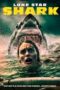 Nonton Film Lone Star Shark (2025) Bioskop21 Nonton Film Lone Star Shark (2025) Bioskop21