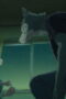 Nonton Film BEASTARS Season 3 Part 2 Episode 4 Bioskop21 Nonton Film BEASTARS Season 3 Part 2 Episode 4 Bioskop21