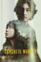 Nonton Film Concrete Market (2025) Bioskop21 Nonton Film Concrete Market (2025) Bioskop21