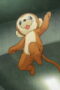 Nonton Film Dandelion Season 1 Episode 5 Bioskop21 Nonton Film Dandelion Season 1 Episode 5 Bioskop21