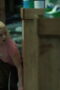 Nonton Film Lucky Season 1 Episode 2 Bioskop21